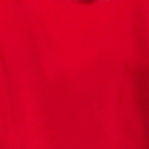 The Limited Super Cute Red Dress - Picture 6 of 6